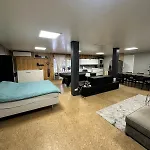 With Pool Table And Optional Sauna & Hot Tub Apartment Zwaanshoek