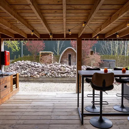 With Pool Table And Optional Sauna & Hot Tub Lejlighed Zwaanshoek