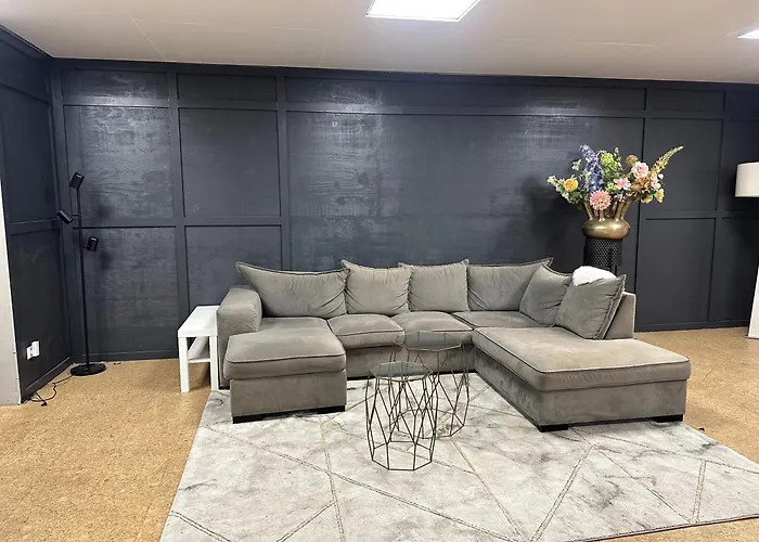 With Pool Table And Optional Sauna & Hot Tub Zwaanshoek