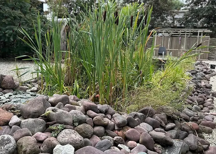 With Pool Table And Optional Sauna & Hot Tub Lejlighed Zwaanshoek