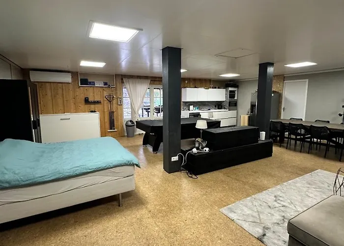 With Pool Table And Optional Sauna & Hot Tub Appartement Zwaanshoek