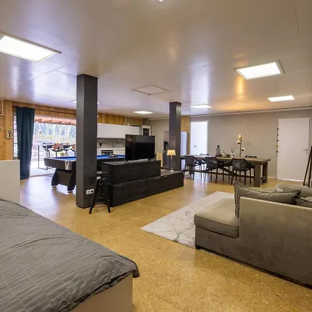 With Pool Table And Optional Sauna & Hot Tub Zwaanshoek
